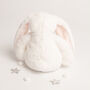 Gift Boxed White And Pink Soft Bunny Toy, thumbnail 4 of 4