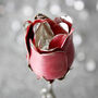 Personalised Rose For Mother's Day Or Birthday, thumbnail 4 of 4