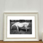 White Horse, Candes Saint Martin Photographic Art Print, thumbnail 1 of 4