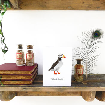 Horned Puffin A6 Greetings Cards, 4 of 7