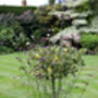 Marble Suncatcher Perfect For Adding Colour And Movement To Your Garden, thumbnail 4 of 10