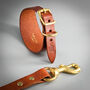 Brown Leather Whippet Collar And Matching Lead Set, thumbnail 1 of 12