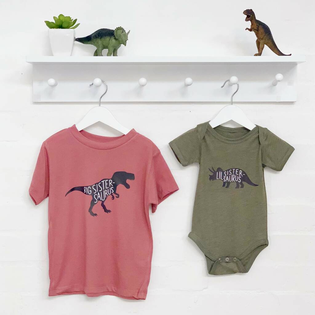 Dinosaur Matching T Shirt Set For Brothers And Sisters By Lovetree ...