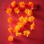 Diwali Marigold Fairy Lights, thumbnail 2 of 6