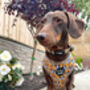 Woodland Badger Dog Harness, thumbnail 9 of 12