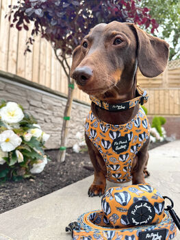 Woodland Badger Dog Harness, 9 of 12