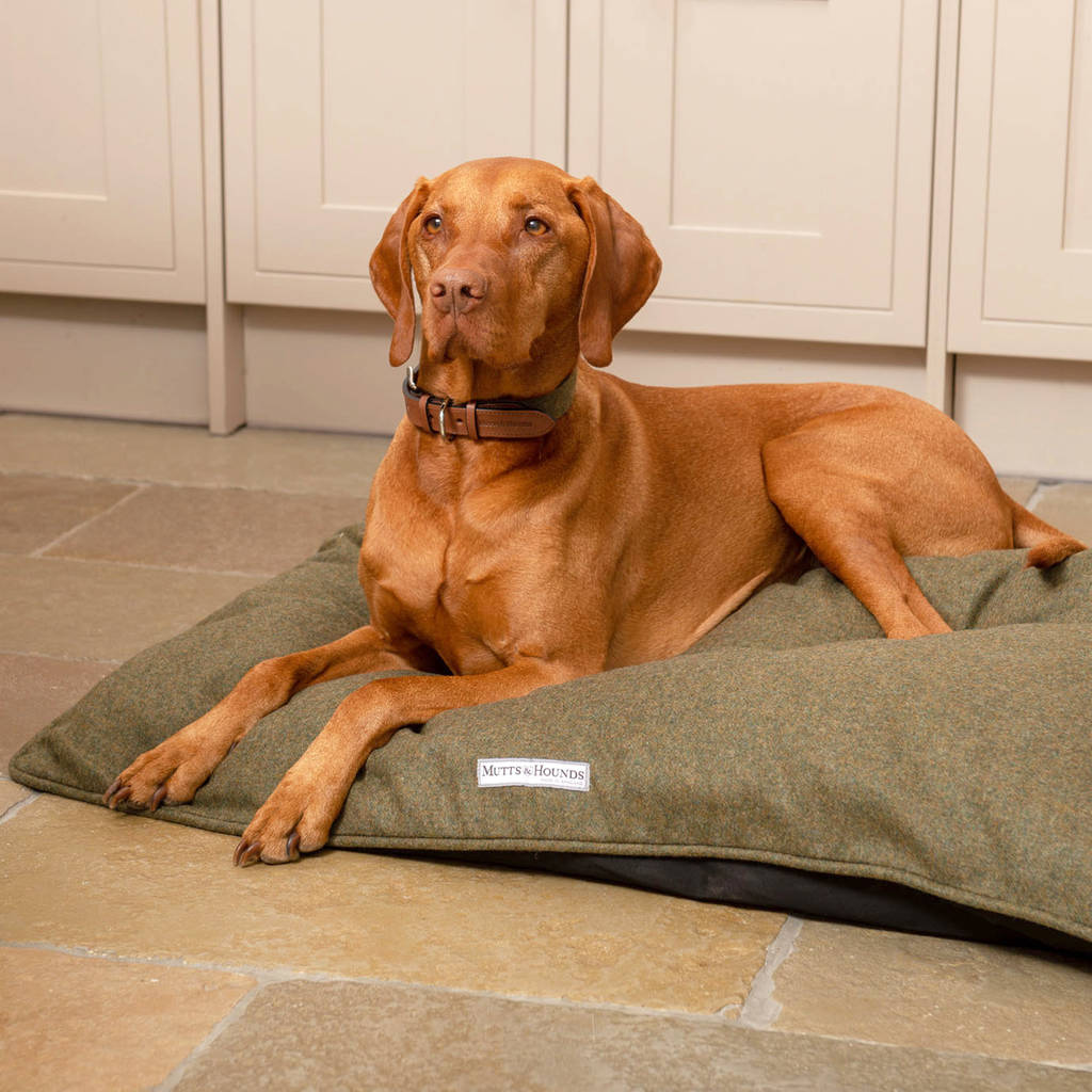 Luxury Tweed Pillow Dog Beds By Mutts & Hounds