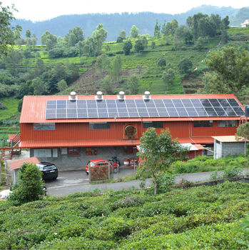 Solar White Loose Leaf Tea, 6 of 7