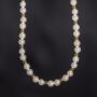 Shell Pearl Chain Necklace With Steel Gold Bead, thumbnail 5 of 11