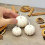 Natural White Pumpkin Candle Set Of Three Autumn Decor, thumbnail 6 of 10