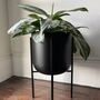 Black Metal Planter With Legs, thumbnail 5 of 9