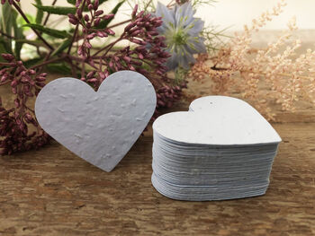 Eco Friendly Plantable Multicoloured Seed Paper Hearts, 6 of 11