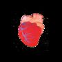 Giant Anatomical Heart Bath Bomb, thumbnail 2 of 5