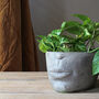 Half Face Planter, thumbnail 3 of 4