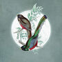 Elegant Tailed Trogon Moon Art Print – Vintage Japandi Style – Range Of Colours, thumbnail 3 of 7