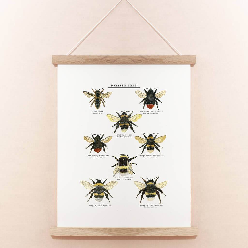 British Bees Illustrated Giclée Print, 1 of 6