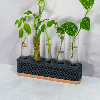 Propagation Station | Wood And Carbon, 3 of 4