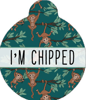 Cheeky Monkey Custom ID Dog Tag, 2 of 3