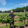 Guided Tour Of The Yorkshire Heart Vineyard Followed By Wine Tasting And Nibbles, thumbnail 2 of 4
