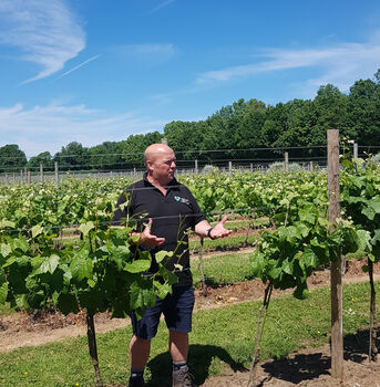 Guided Tour Of The Yorkshire Heart Vineyard Followed By Wine Tasting And Nibbles, 2 of 4