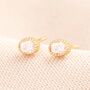 Sterling Silver Crystal Ridge Oval Stud Earrings In Gold, thumbnail 1 of 4