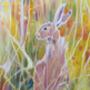 Meadow Born, thumbnail 5 of 9