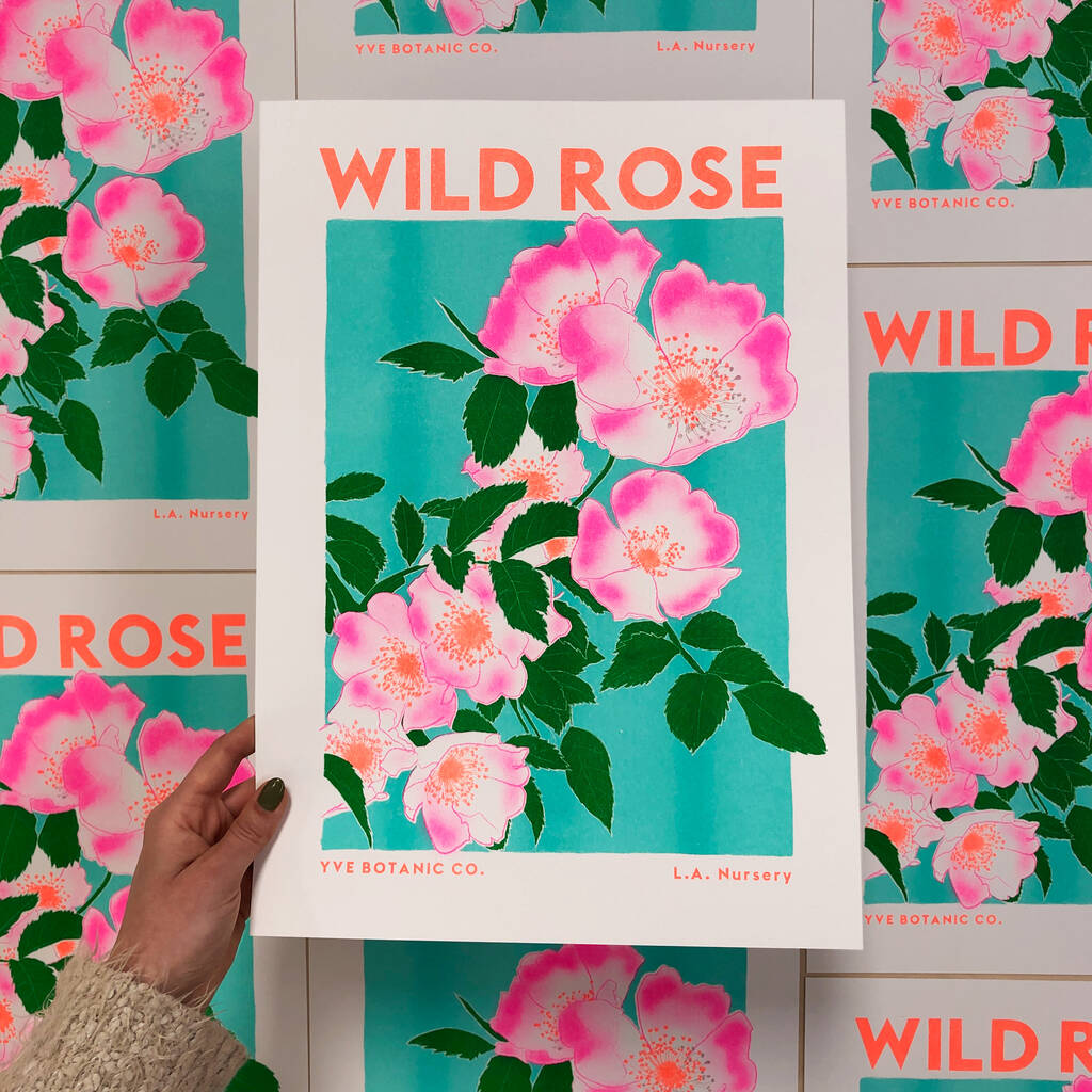 Wild Rose Floral Illustration Riso Print, 1 of 9