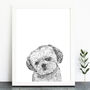 Shih Tzu Dog Portrait Print, thumbnail 1 of 3