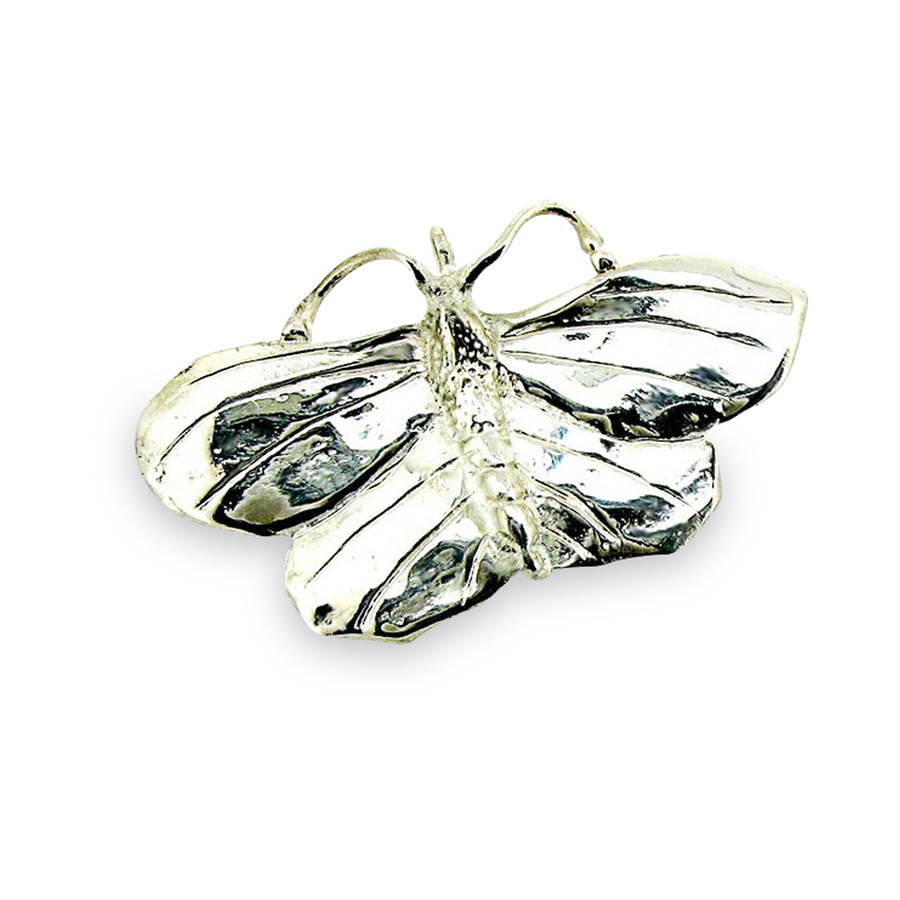 Silver Or Gold Butterfly Brooch, 1 of 4