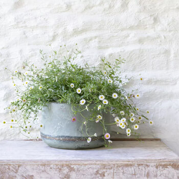 Vintage Style Turquoise Iron Planters, 5 of 8