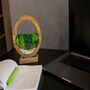 Round Wood Table Lamp With Preserved Moss, thumbnail 4 of 12