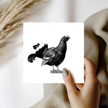 Black Grouse Wildlife Greeting Card, 3 of 7