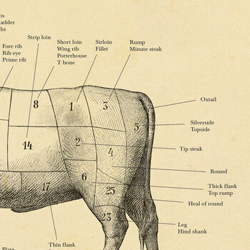 British Beef Cut Cow Print, Butcher Chart, 6 of 10