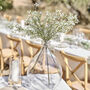 Gypsophilia Artificial Foliage Stems, thumbnail 1 of 4