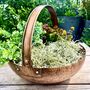 Vintaged Copper Bowl Planter With Handle, thumbnail 1 of 8
