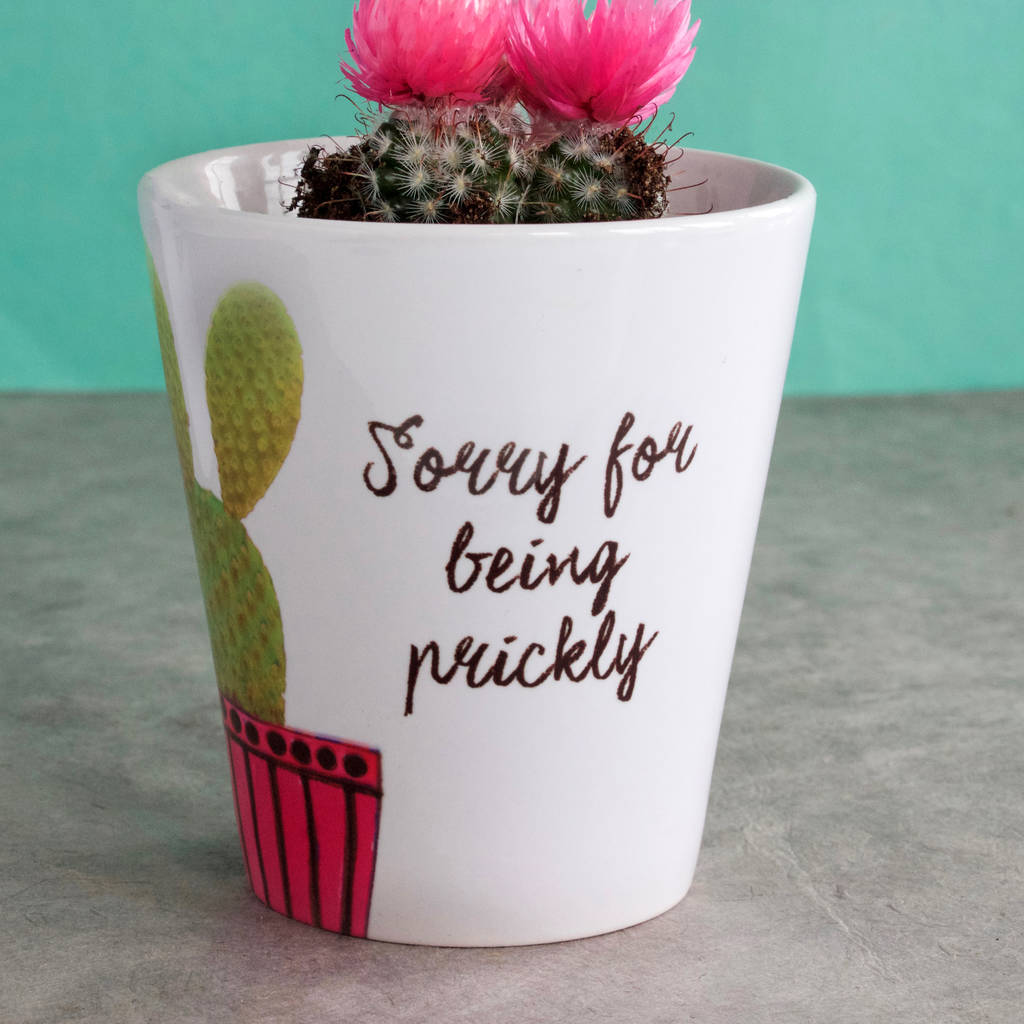 personalised cactus  plant pot  by snapdragon 