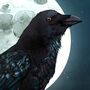 Raven And Moon Giclée Art Print, thumbnail 6 of 6
