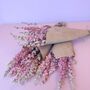 Dried Pink Delphiniums, thumbnail 4 of 4