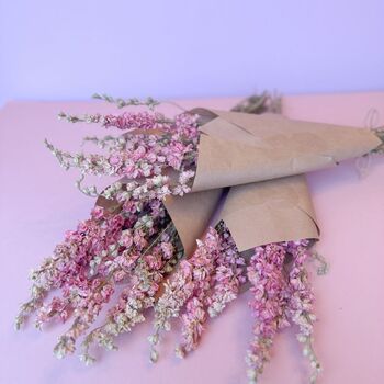 Dried Pink Delphiniums, 4 of 4