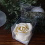 Chocolate Truffle Rose 25 Favours, thumbnail 1 of 3