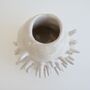 Handmade Small Round White Spiky Ceramic Cactus Vase, thumbnail 4 of 6