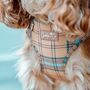 Check Him Out Step In Dog Harness, thumbnail 4 of 11