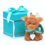 Birthday Highland Brown Cow Soft Toy, thumbnail 4 of 11