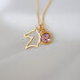 Personalised Horse Necklace, Birthstone Equesterian Gift, thumbnail 1 of 8