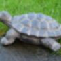 Realistic Tortoise Feature Indoor/Outdoor Use, thumbnail 4 of 4