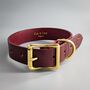 Luxury Leather Dog Collar And Matching Lead Set Burgundy, thumbnail 2 of 12