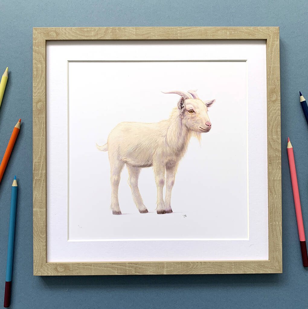 Illustrated Goat Print By Little Blue Zebra