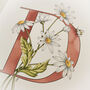 D Is For Daisy Coloured Initial Print, thumbnail 5 of 11