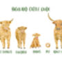 Personalised Highland Cattle Print, thumbnail 2 of 5
