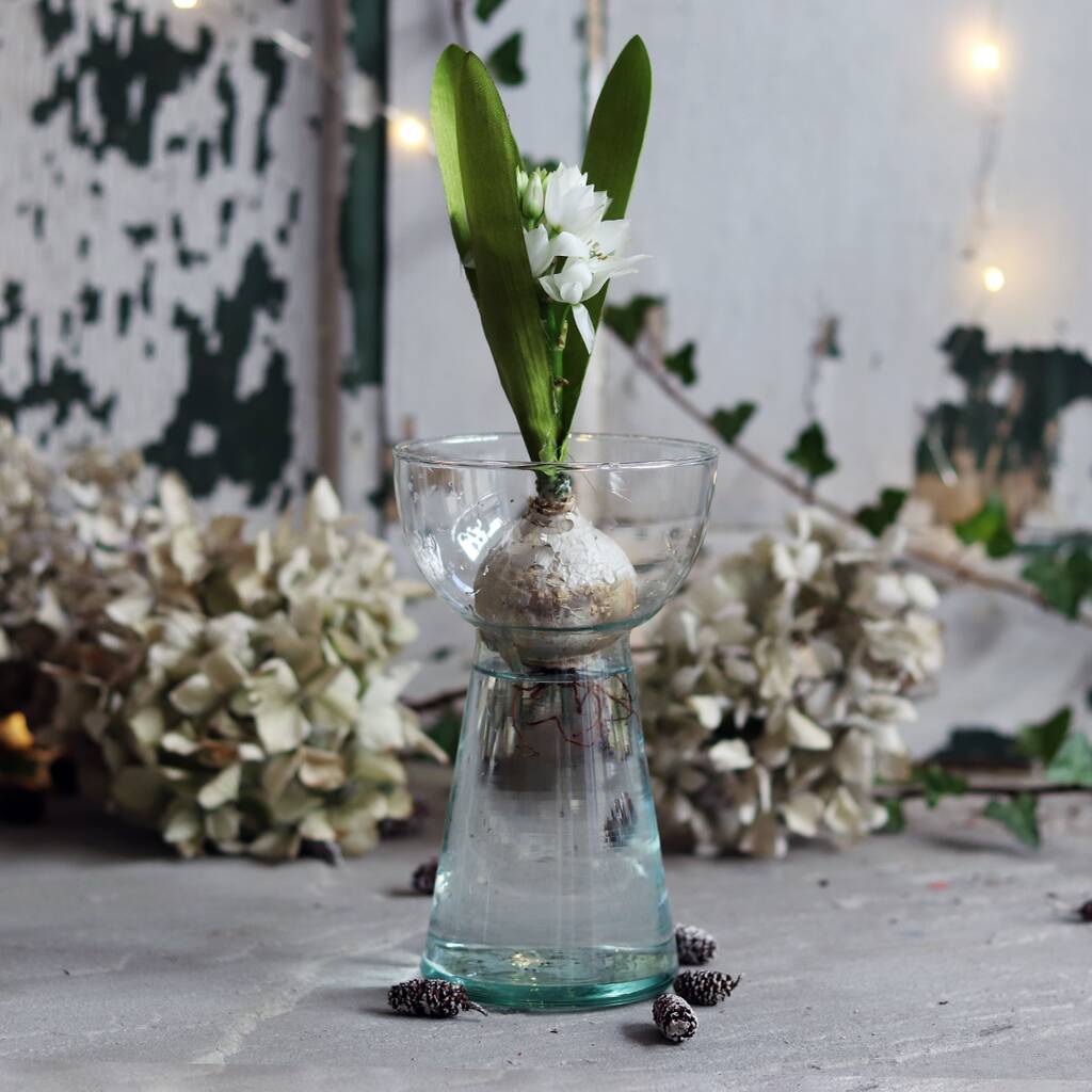 Image of Grow Me: Gift Box Of Scented Hyacinth Bulb And Vase